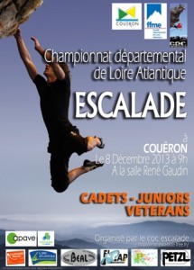 affiche_comp_dep_coueron_2013