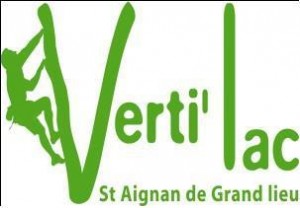 logo-vertilac