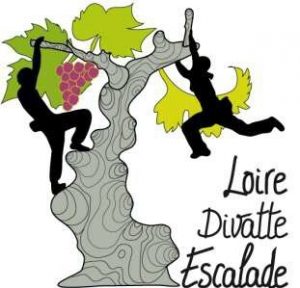 loie-divatte