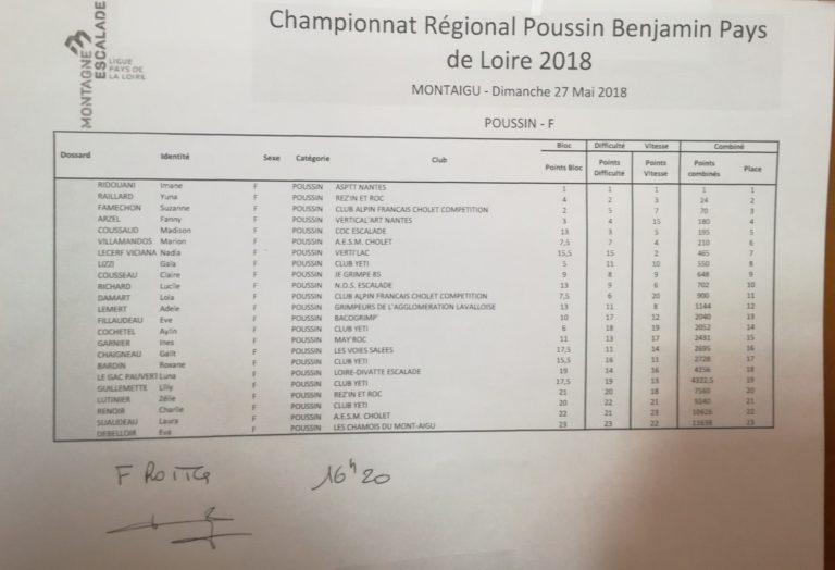Championnat régional poussins, benjamins à Montaigu (photo 2)