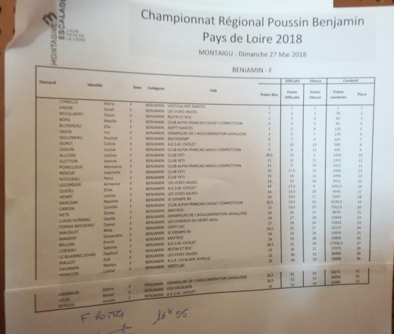 Championnat régional poussins, benjamins à Montaigu (photo 3)