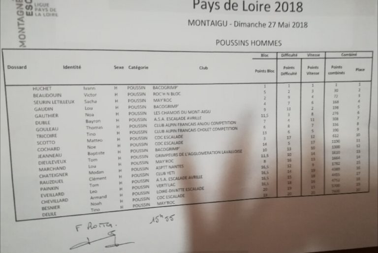 Championnat régional poussins, benjamins à Montaigu (photo 4)