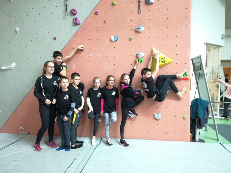 Coupe difficulté à Saint-Aignan de Grandlieu (photo 1)